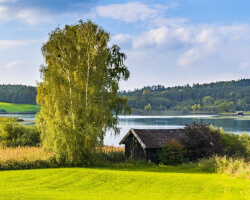 Як купити земельну ділянку