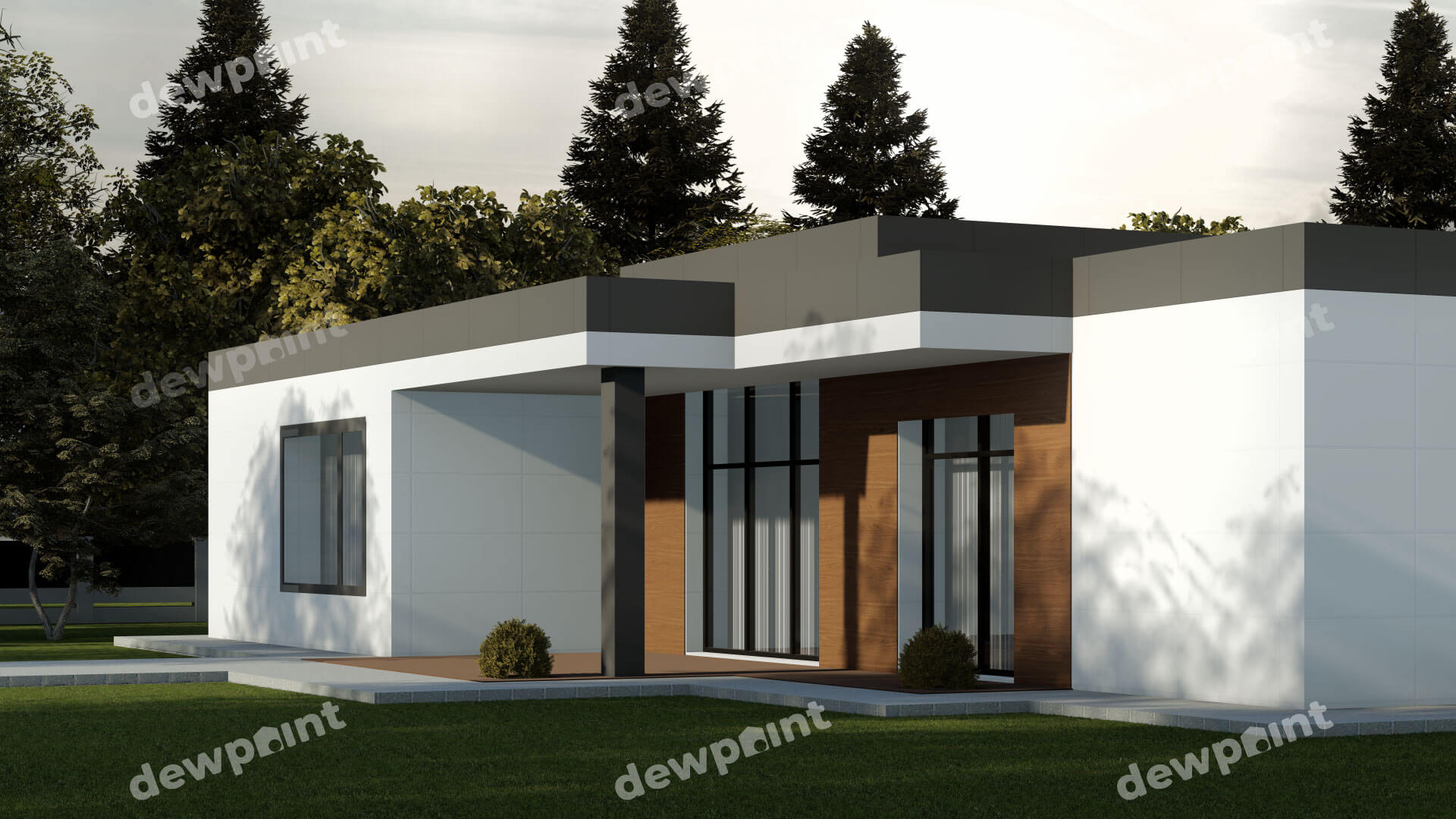 ДП-53 — Фото 1